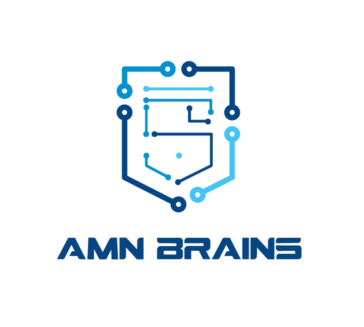 AMN Brains  logo