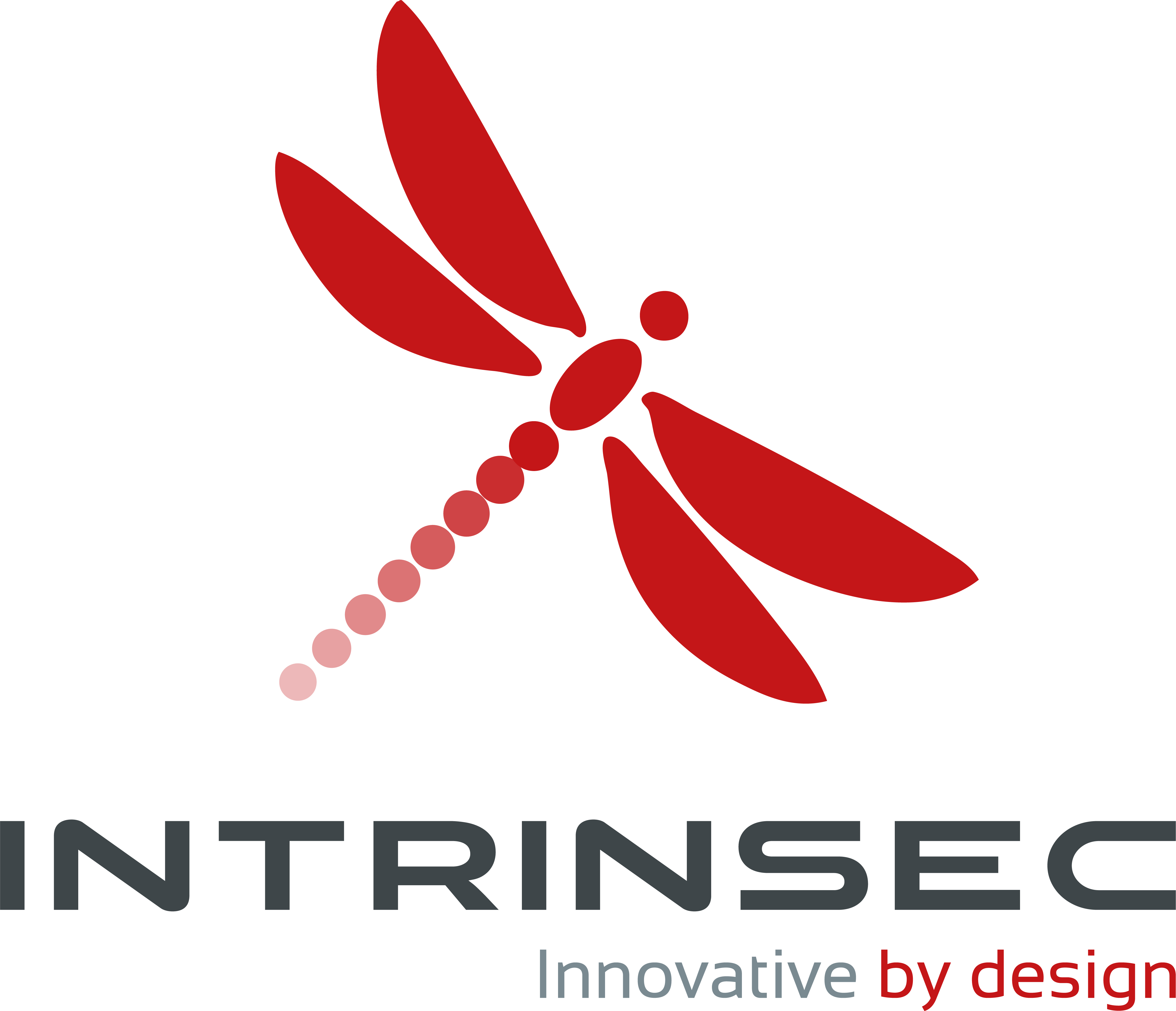 Intrinsec logo